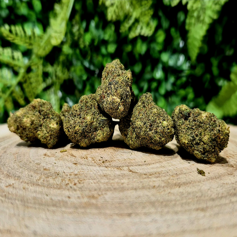 THZ FLEURS LONDON POUND CAKE ORANGE BUD PACA CBD SHOP ORANGE 84100 THV-N10 10-OH-HHC