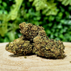 10-OH-HHC FLEUR SANTA CRUZ ORANGE BUD PACA CBD SHOP ORANGE 84100