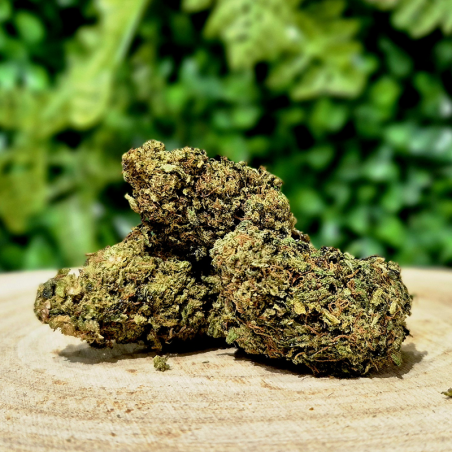 10-OH-HHC FLEUR SANTA CRUZ ORANGE BUD PACA CBD SHOP ORANGE 84100