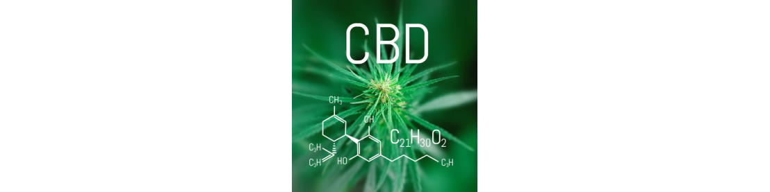 CBD : Le cannabidiol