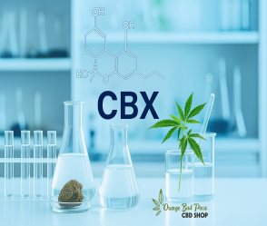 ZOOM sur le CBX