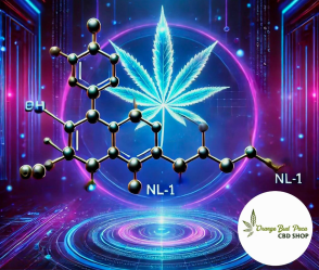 ZOOM sur le NL-1